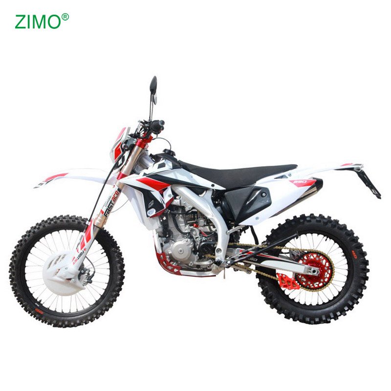 2024 250cc 450cc Gasoline Racing Off Road Motorcycle for Sale