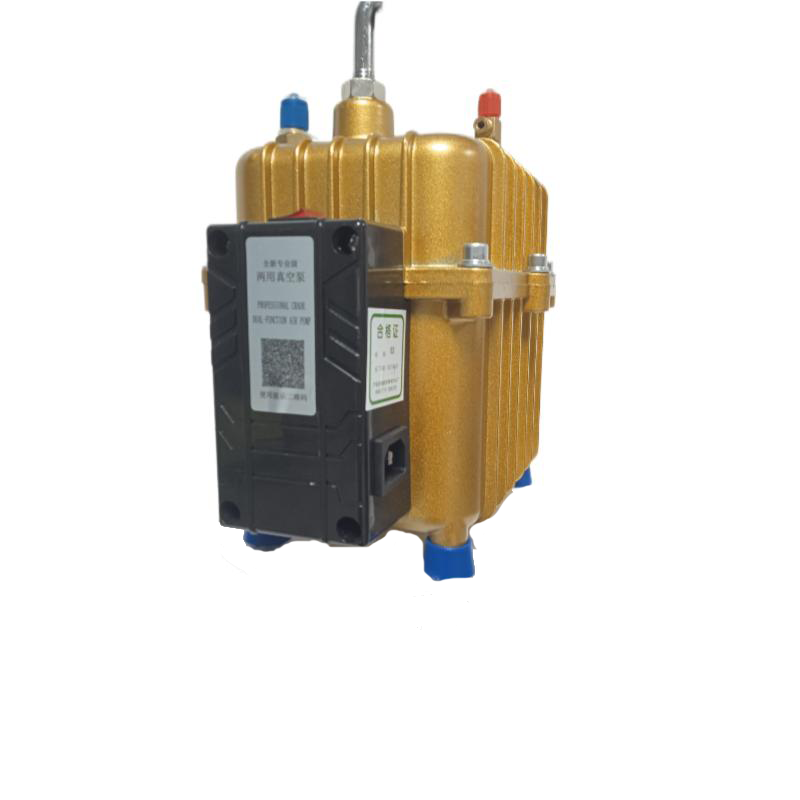 Vehicle-mounted Vacuum Pump Electric Pump 220V/50HZ 28L High Quality Professional R134a Dual Purpose A/C Vacuum Pump