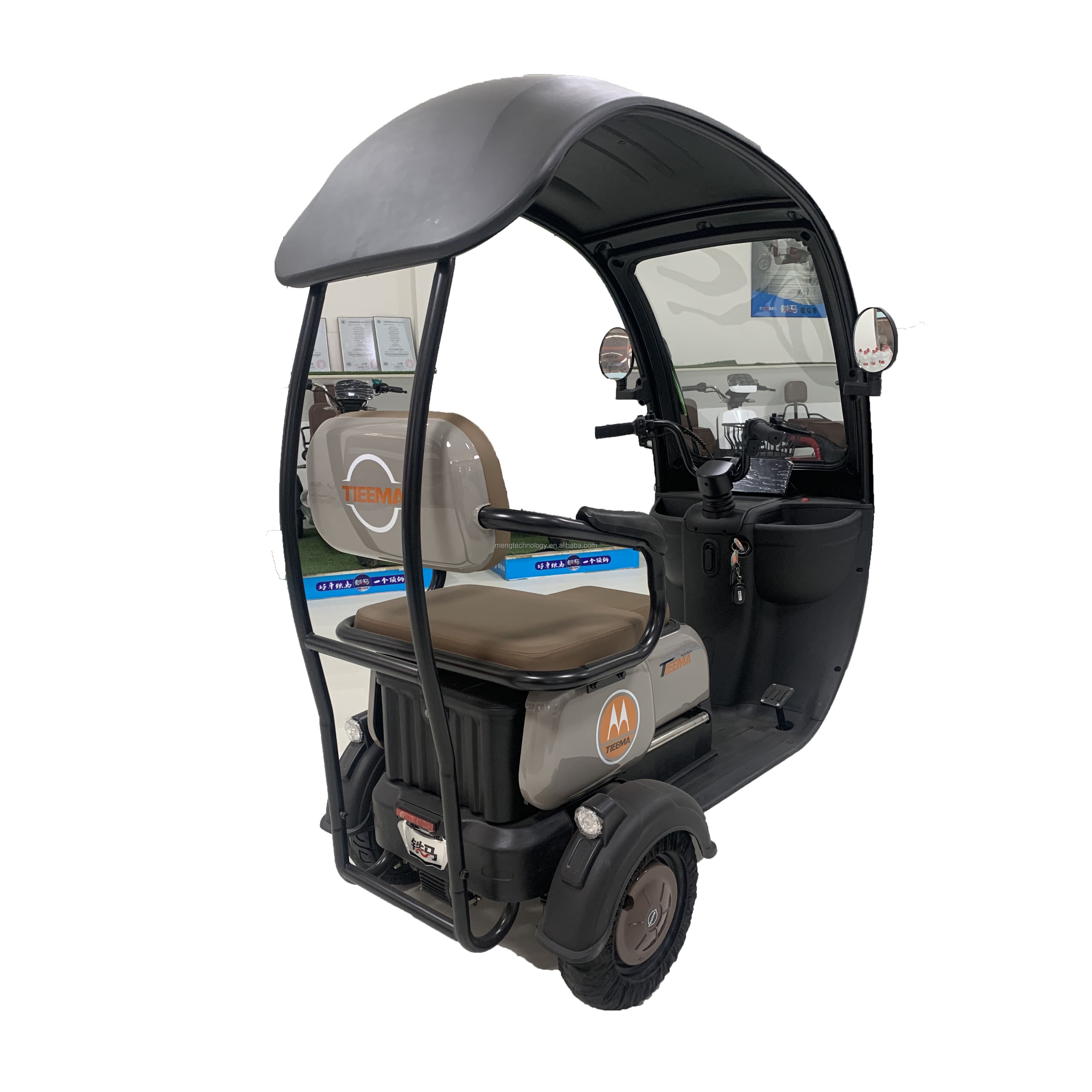 Electric Tricycle for Adults in Thailand 3wheel Electric Tricycles 500w Motor with Roof