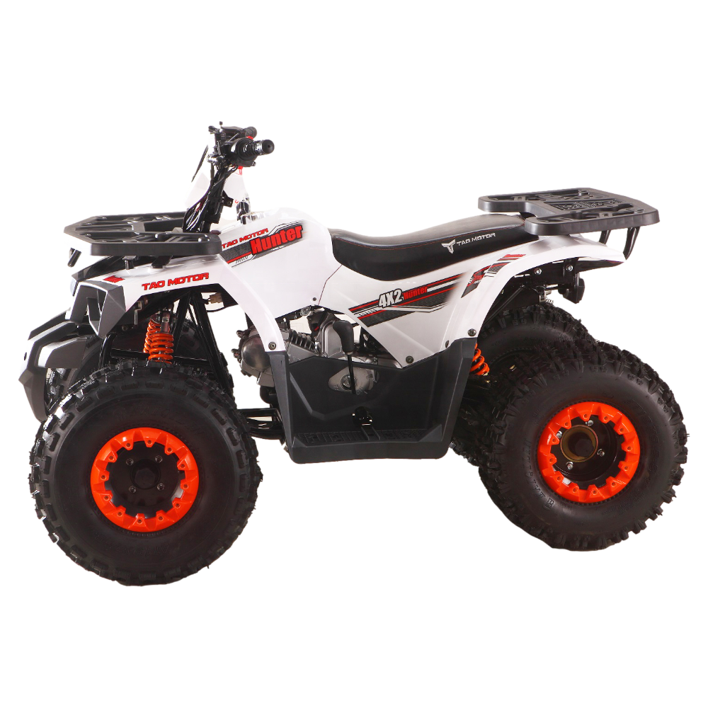 Tao Motor Best Selling Chinese Cheap ATV 125 125cc ATV 125cc