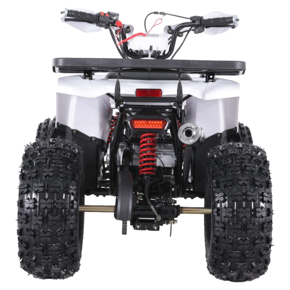 Tao Motor Best Selling Chinese Cheap ATV 125 125cc ATV 125cc