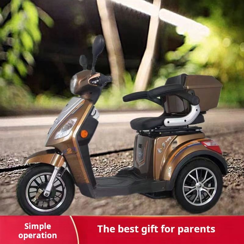 600W/800W/1000W Electric Tricycles 3 Wheel Electric Cargo Bike Cargo Tricycle