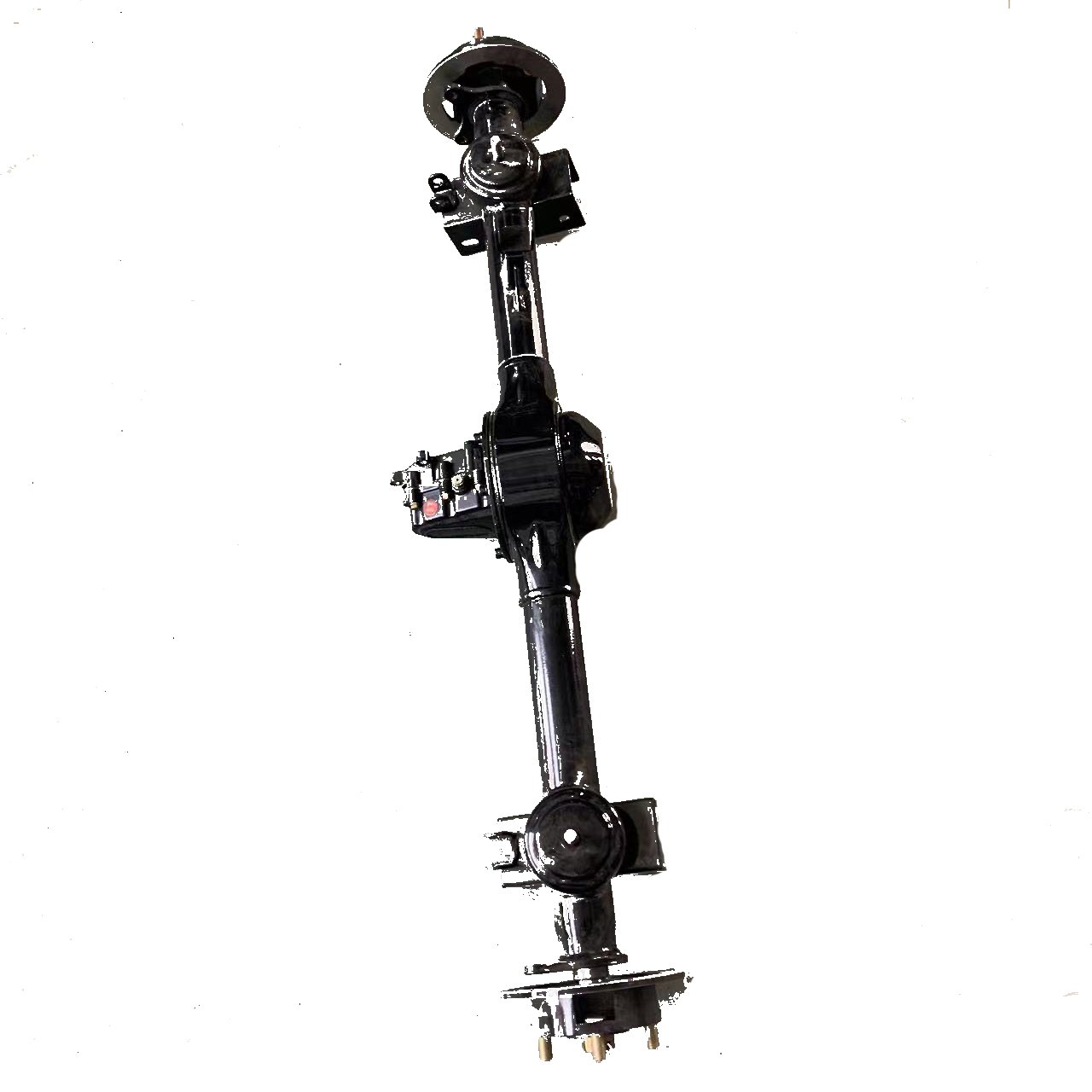 Electric Rear Axle Assembly with High-performance Differential Motor