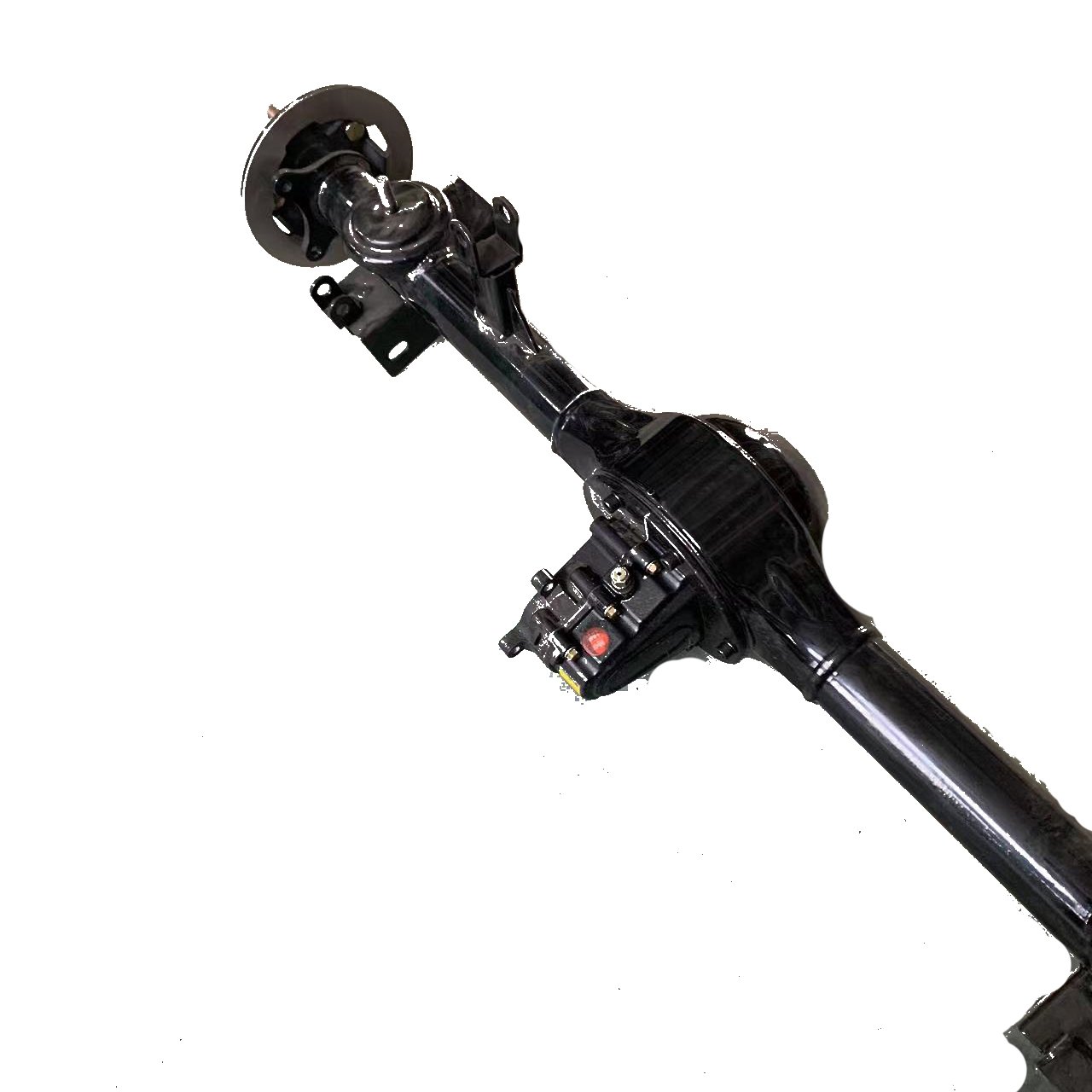 Electric Rear Axle Assembly with High-performance Differential Motor
