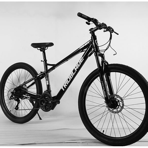 Wholesale Customization Good-Looking Factory Supply Good-Looking Cheap Bicycle Mtb