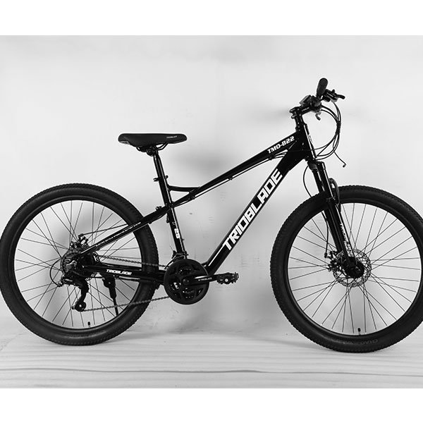 Wholesale Customization Good-Looking Factory Supply Good-Looking Cheap Bicycle Mtb