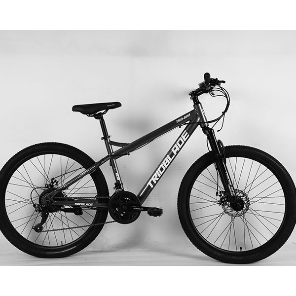 Wholesale Customization Good-Looking Factory Supply Good-Looking Cheap Bicycle Mtb