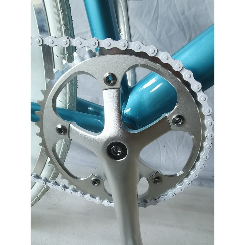 700C Steel Fixed Gear Bicycle Fixie