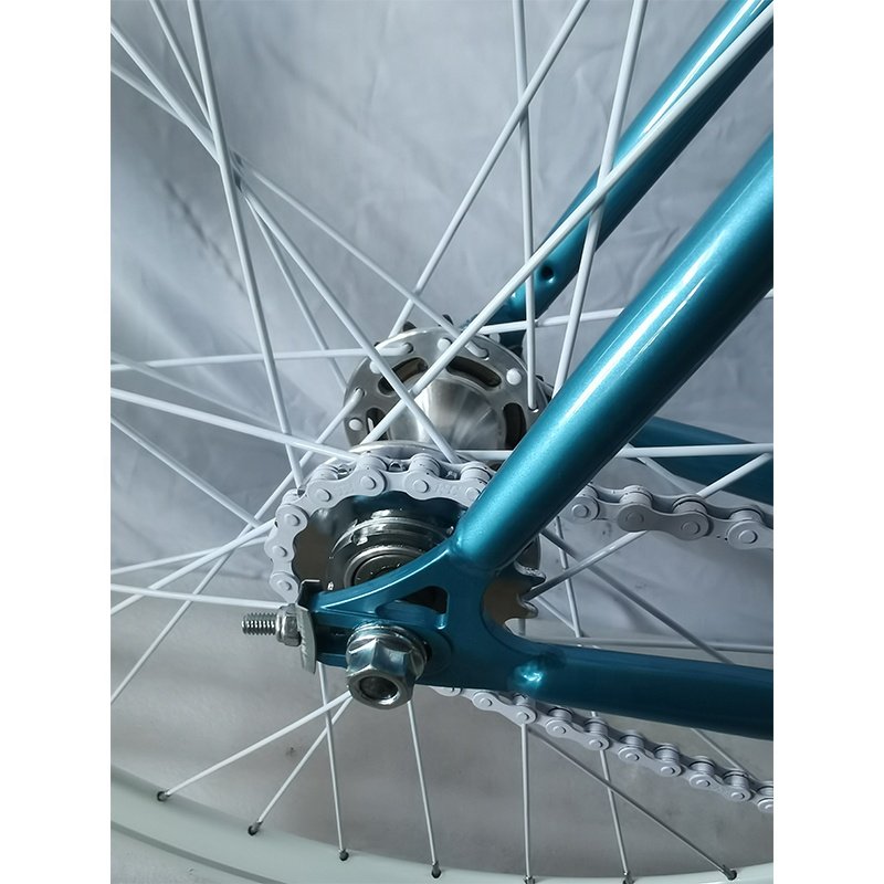 700C Steel Fixed Gear Bicycle Fixie