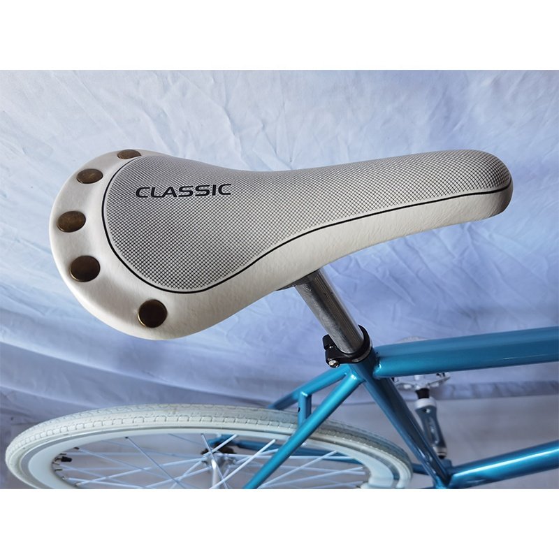 700C Steel Fixed Gear Bicycle Fixie
