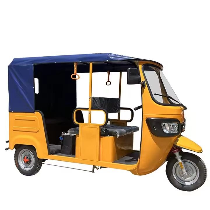 China Factory New Model Passenger Tricycle Electric 60V 2000W Shed Electric Tricycle for Adults Mini Car