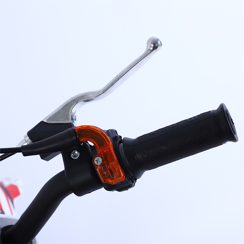 Reasonable Price Mono Shock Rear Fork Pull Start 2 Stroke Air Cooled Engine Kids Dirt Bike 49cc