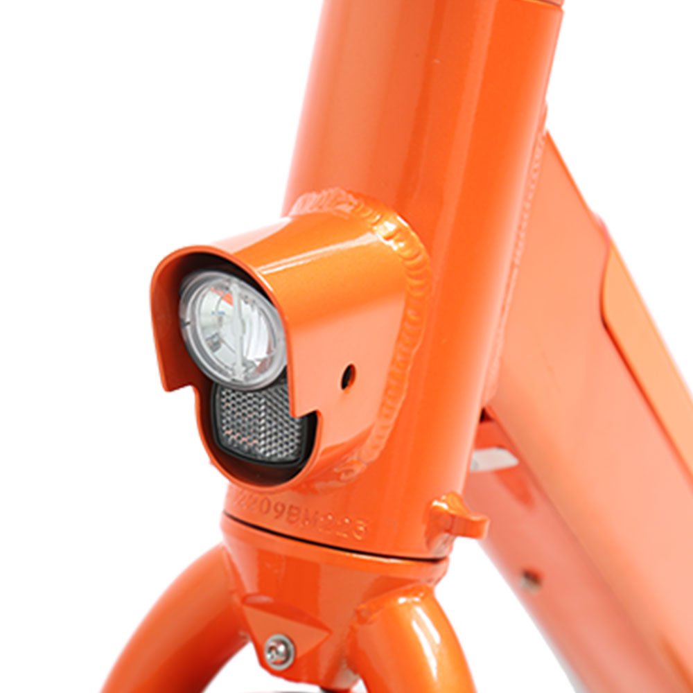 TXED 36V City Sharing Bicycles Renting 26 Inch 250W Electric Bike Public Bike
