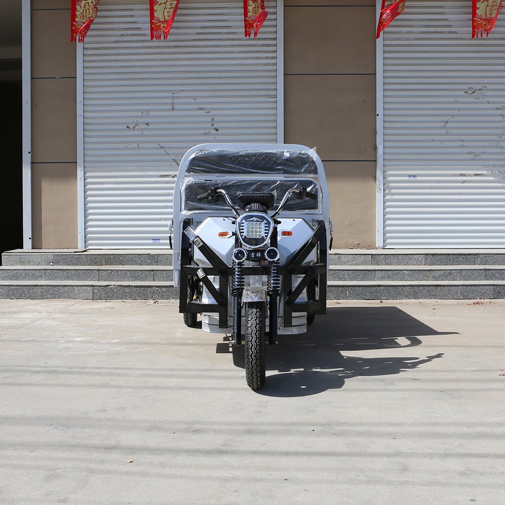 Wholesale 1200W Cargo Electric Tricycle Electric Trike Ebike 3 Wheel Electric Bicycle for Adults