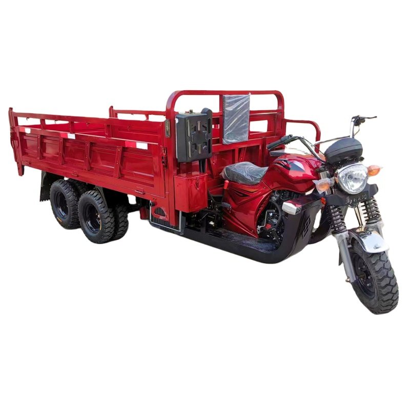 Tricycle Motor With Gasoline Tricycle 300cc/350cc Engine Electric Tricycle 9/nine Wheeler Cargo Bike for Sale