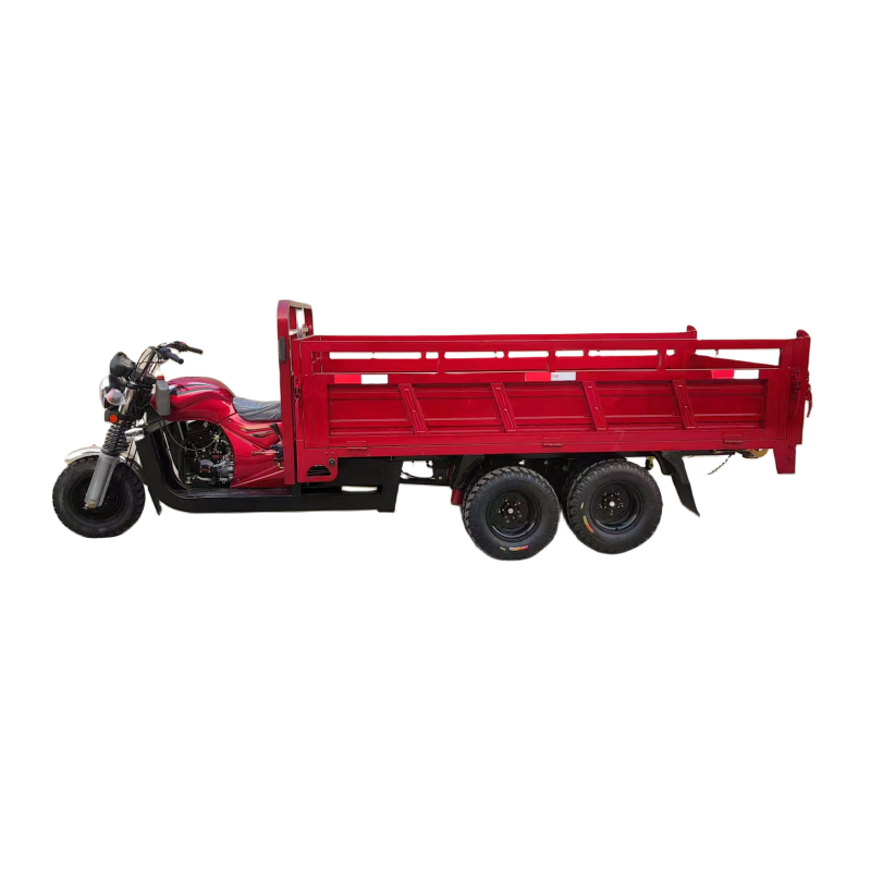 Tricycle Motor With Gasoline Tricycle 300cc/350cc Engine Electric Tricycle 9/nine Wheeler Cargo Bike for Sale