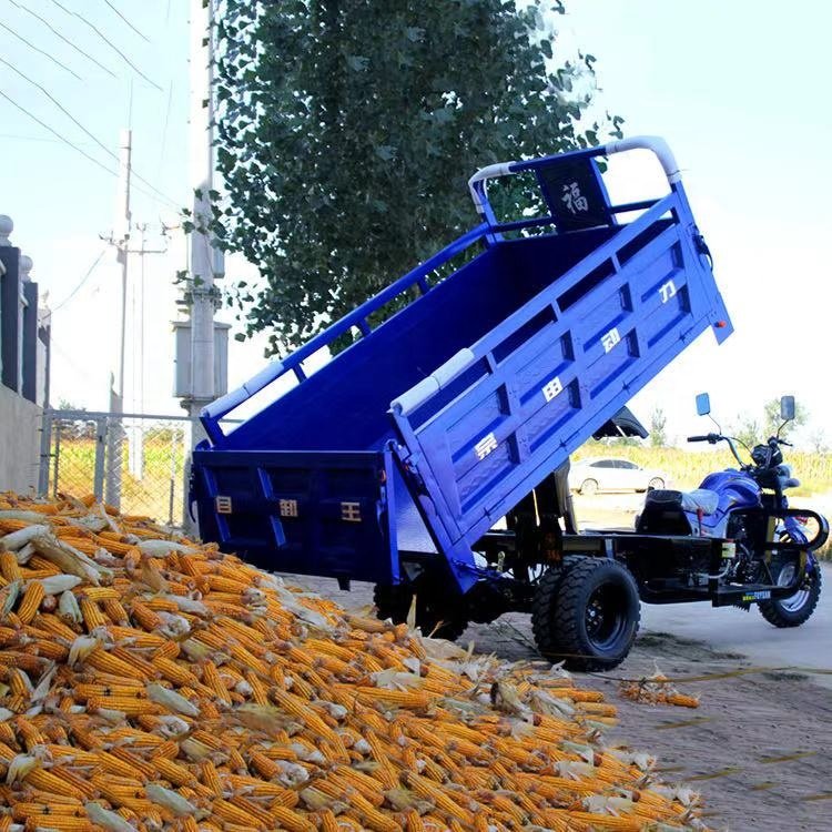 250cc Heavy Load Tricycle Water Cooled Engine Motorized Tricycle With Cargo 5 Wheel Motorcycle