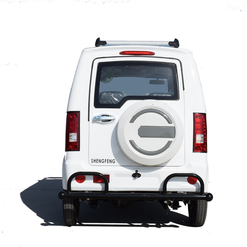 New Style 200,250cc Tricycle Disabled Motor Tricycle Passenger Tricycle Motorcycle Fuel Gasoline Three Wheels Motorcycle