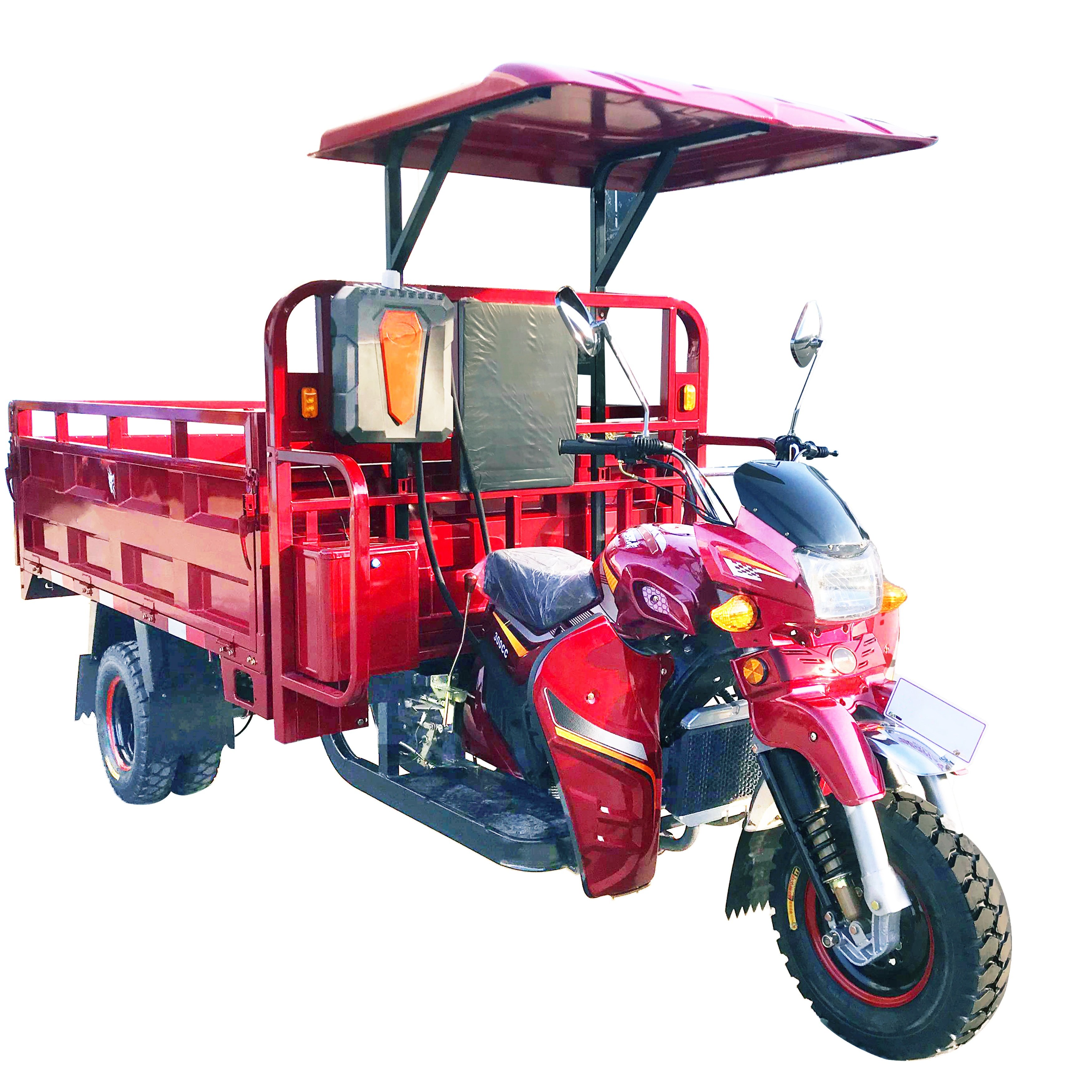 YAOLON China Manufacturer Factory Trike Tuk Tuk Three Wheels 200cc 300cc Gasoline Price Cargo Tricycle Motorcycle