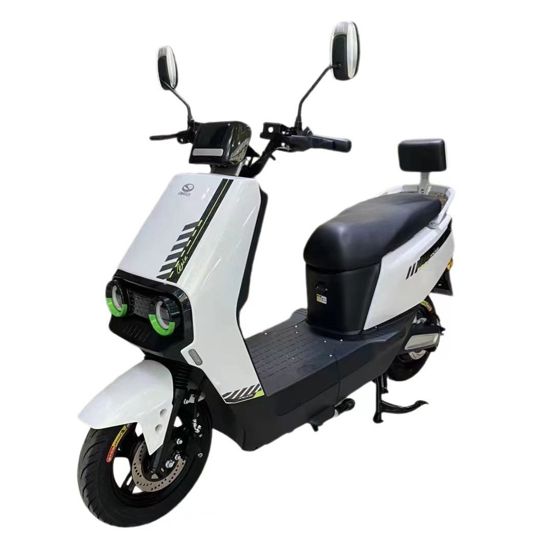 Paige Hot Sale Factory Price New E Bike 2 Wheels for Adults 14 Inch 1000w 48v/60v Battery Powerful Electric Bike 318 Motorcycles