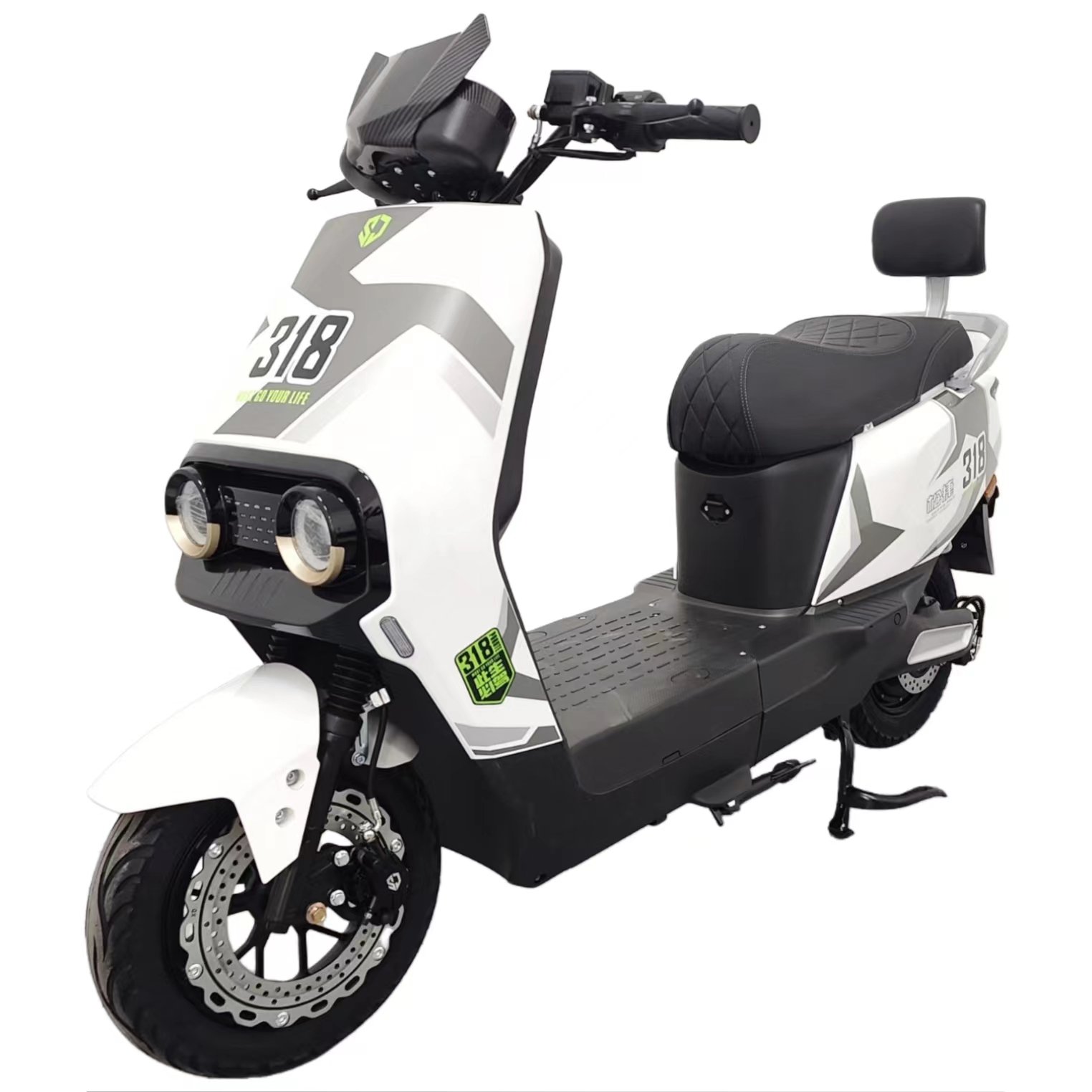 Paige Hot Sale Factory Price New E Bike 2 Wheels for Adults 14 Inch 1000w 48v/60v Battery Powerful Electric Bike 318 Motorcycles