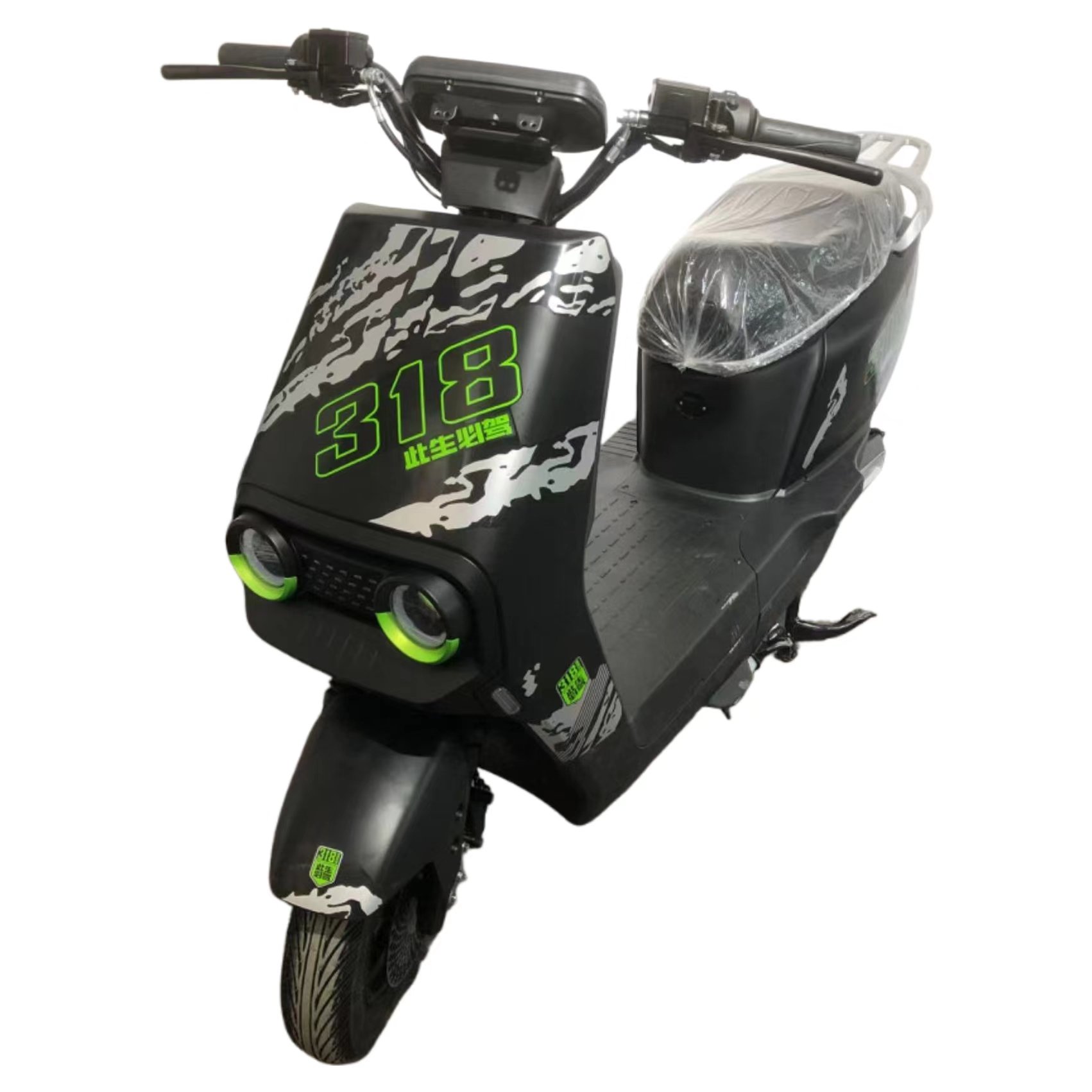 Paige Hot Sale Factory Price New E Bike 2 Wheels for Adults 14 Inch 1000w 48v/60v Battery Powerful Electric Bike 318 Motorcycles