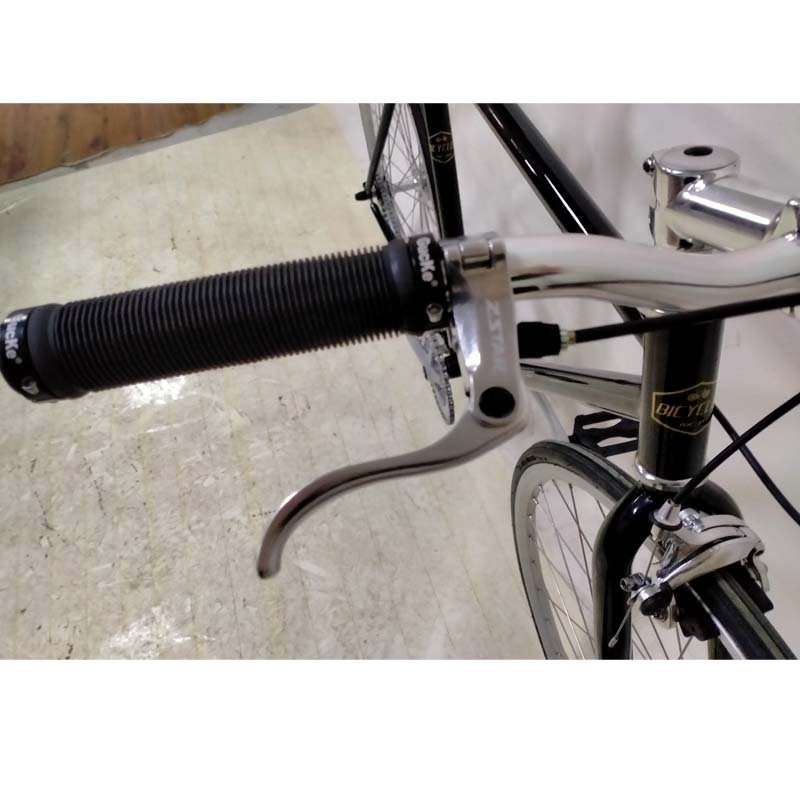 2021 Hot Selling 700C Bicycle with Fixed Gear (700C TRACK21-FP1)