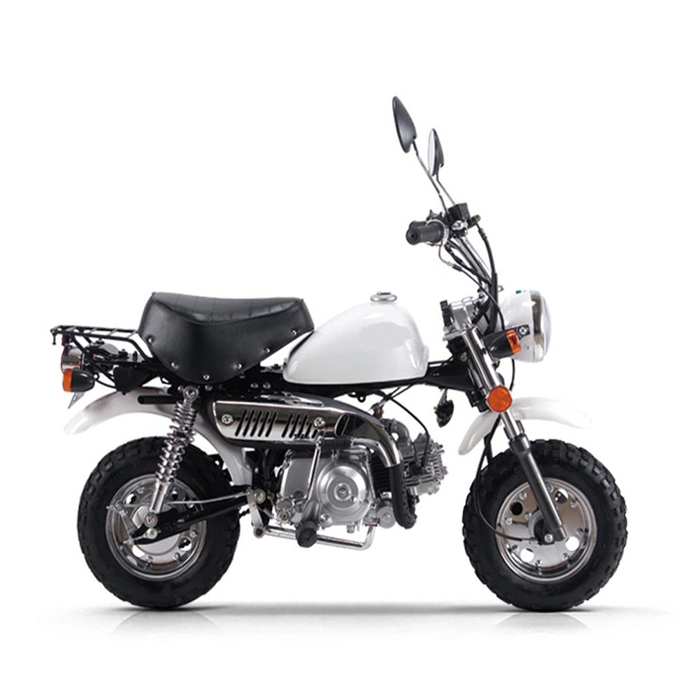 High Quality 125cc Mini Moto Cross Dirt Bike New Pit Racing Bike with 2 Stroke Engine Disc & Drum Brakes Gas Fuel