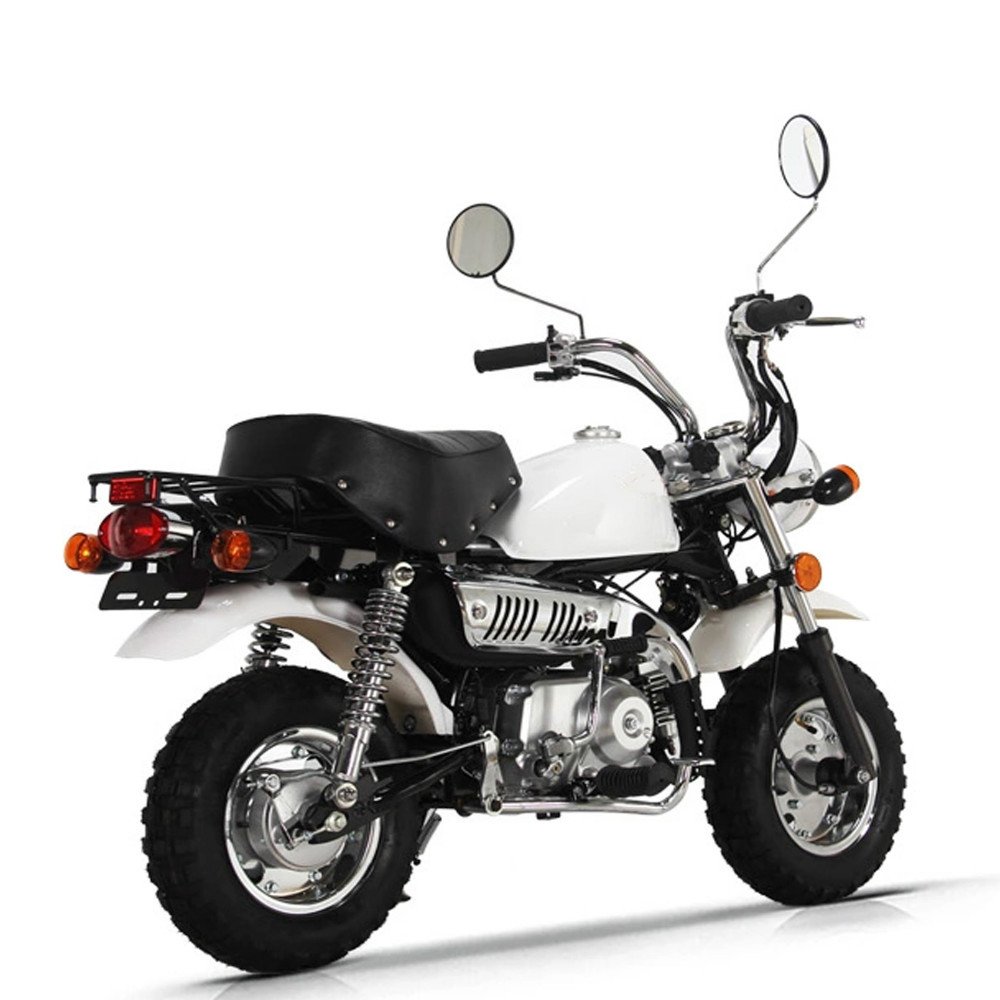 High Quality 125cc Mini Moto Cross Dirt Bike New Pit Racing Bike with 2 Stroke Engine Disc & Drum Brakes Gas Fuel