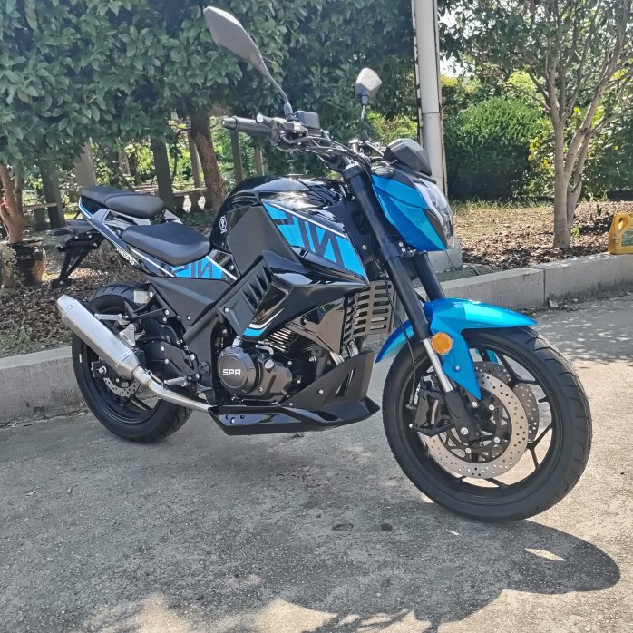 Racing Motorcycle Good Performance 300CC Strong Power Gasoline Engine Chopper Motorcycle with OTTC