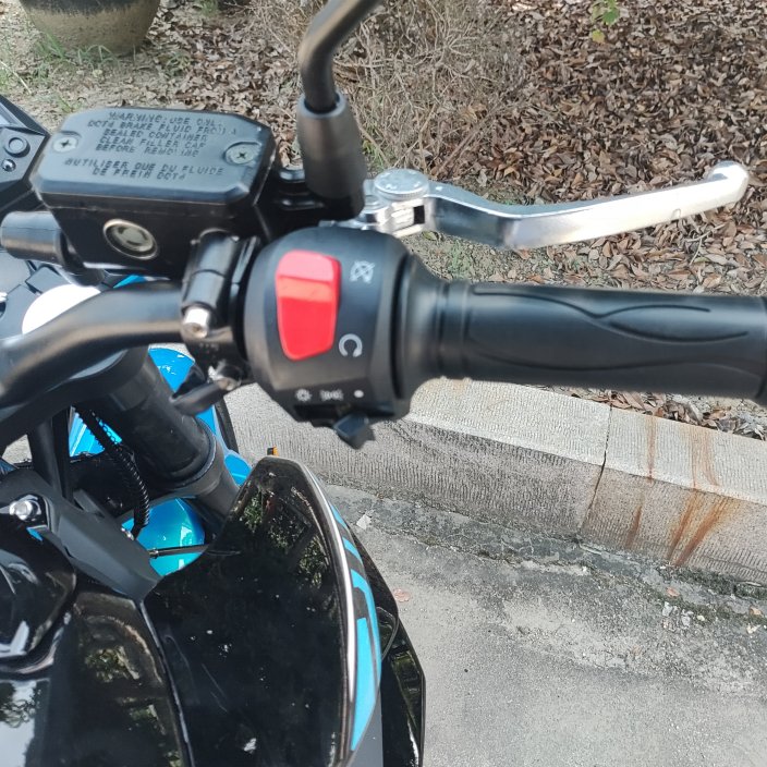 Racing Motorcycle Good Performance 300CC Strong Power Gasoline Engine Chopper Motorcycle with OTTC