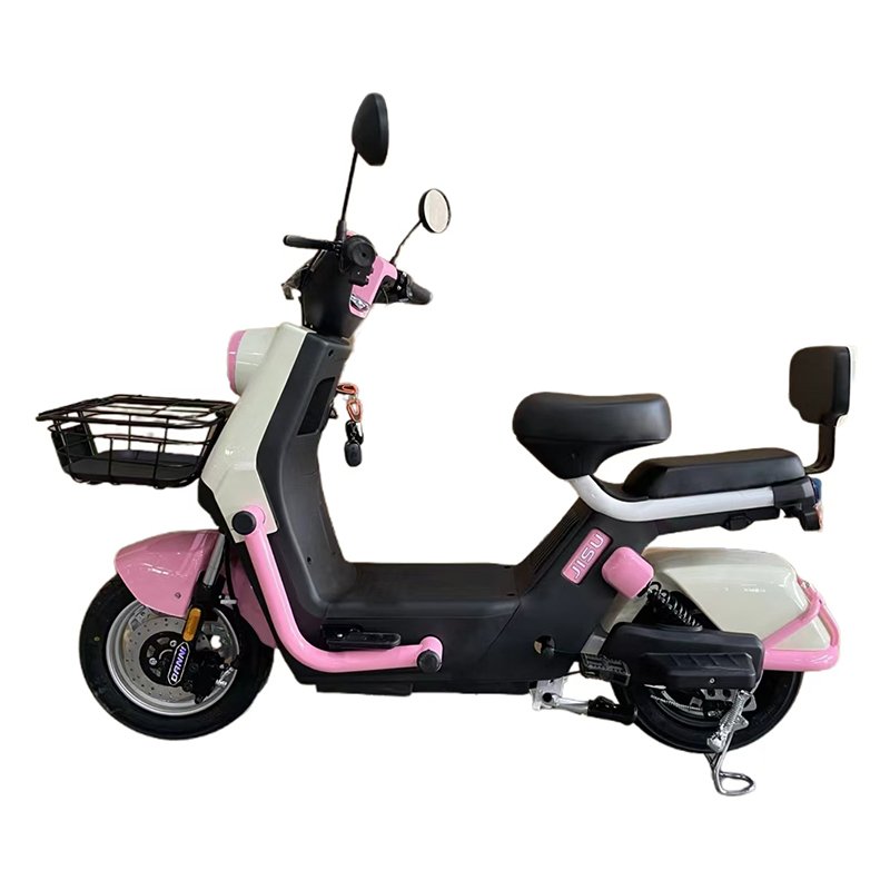 2024 Hot Selling Meet Different Riding Needs Electric Bicycle Two Seats 350 W Motor Adult Electric Bike
