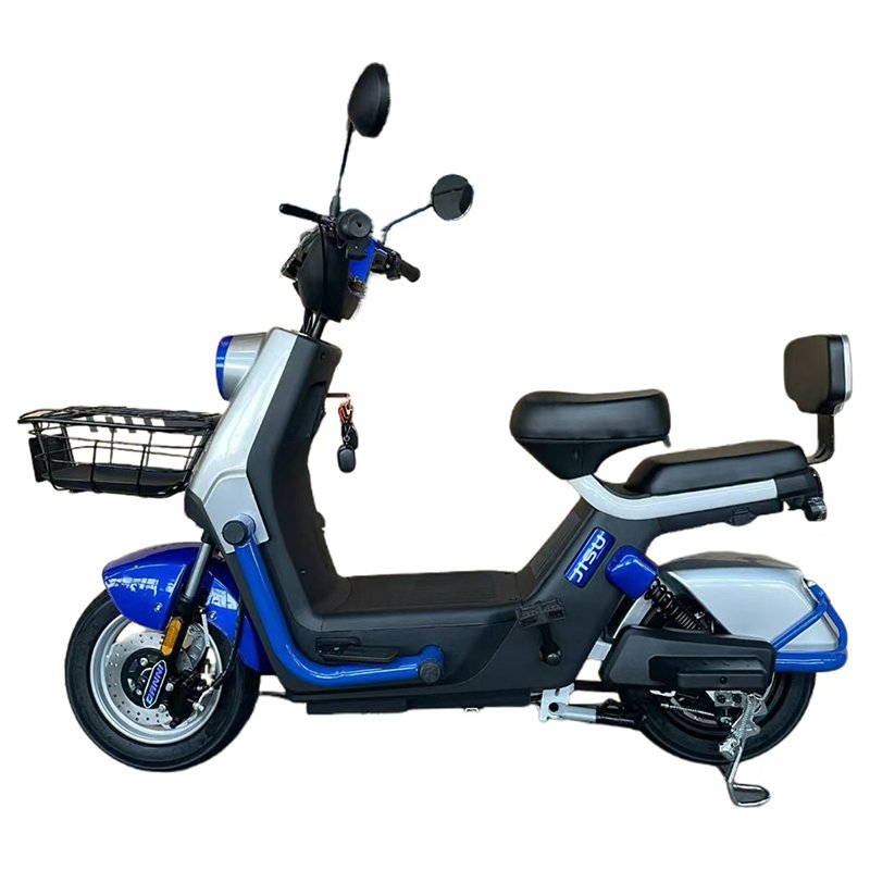 2024 Hot Selling Meet Different Riding Needs Electric Bicycle Two Seats 350 W Motor Adult Electric Bike