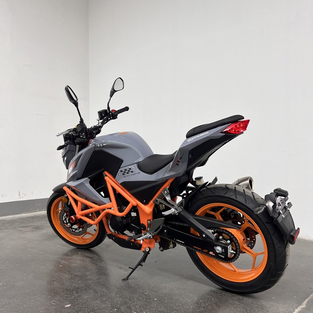 RACING MOTORCYCLE 1 Cylinder,4 Stroke Electric+kick Start Double Disc Brake Single Disc Brake Hydraulic Suspension Air Cooled