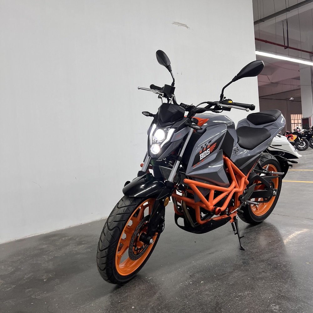RACING MOTORCYCLE 1 Cylinder,4 Stroke Electric+kick Start Double Disc Brake Single Disc Brake Hydraulic Suspension Air Cooled