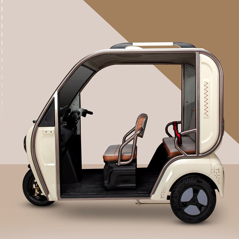 Small Three Wheels New Energy Car 650W 48V Closed Electric Tricycle 25km/h Speed for Passenger