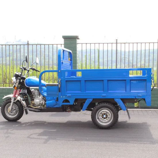 150cc/200cc /250 Cc Three-Wheel Motorcycle/ Bajaj Passenger Gasoline Reverse Three-Wheel Cargo Motorcycle/Motor Cycle