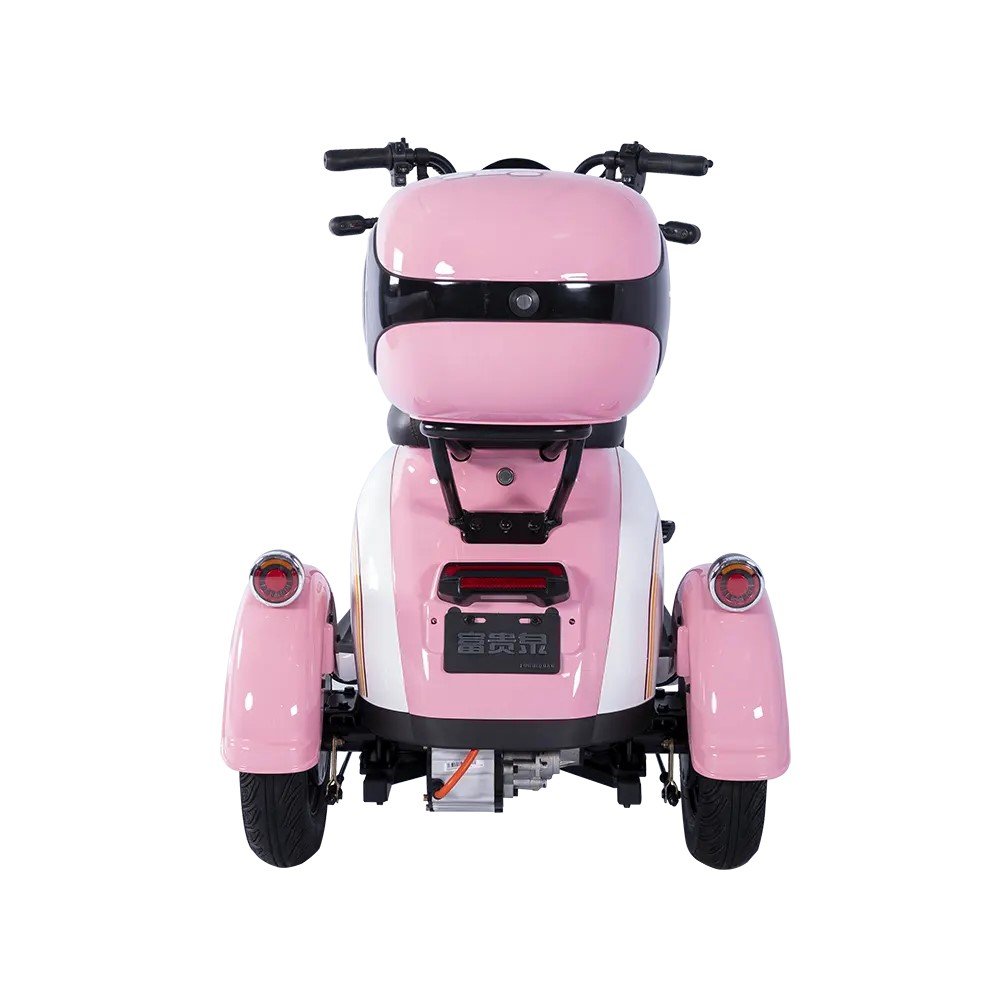Hot Selling 3-Wheel Electric Bicycle, Electric Motor, Adult Tricycle, 50 Km/H, Adult Electric Tricycle, Mobile Scooter, Elderly