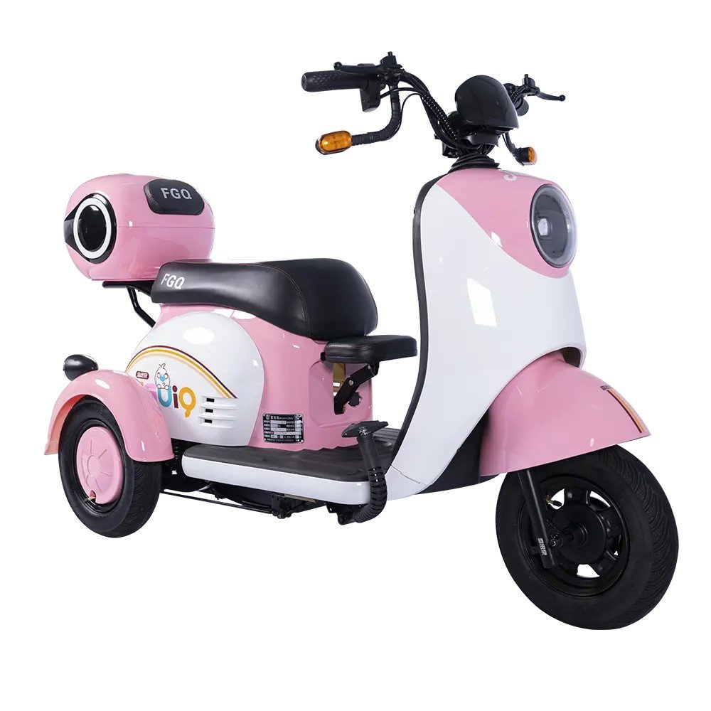Hot Selling 3-Wheel Electric Bicycle, Electric Motor, Adult Tricycle, 50 Km/H, Adult Electric Tricycle, Mobile Scooter, Elderly