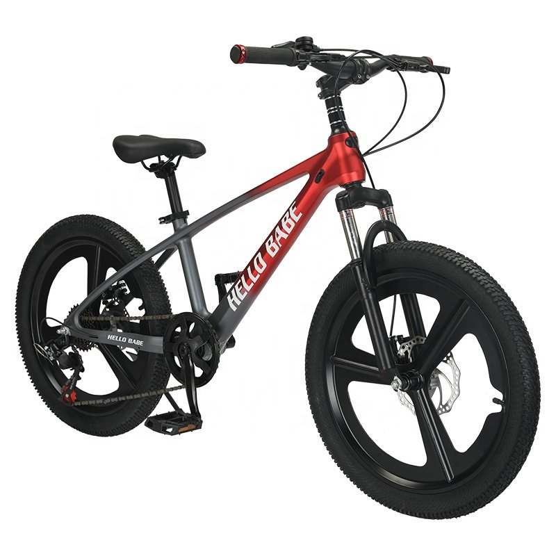 Types of Baby Cycle Girls Bicycle for 6 Years Old Girls