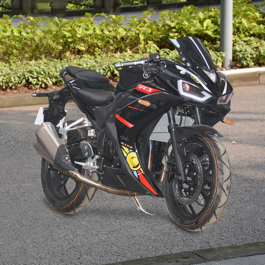 Water Cooling Motorcycle 250cc Double Cylinder Engine for Adult