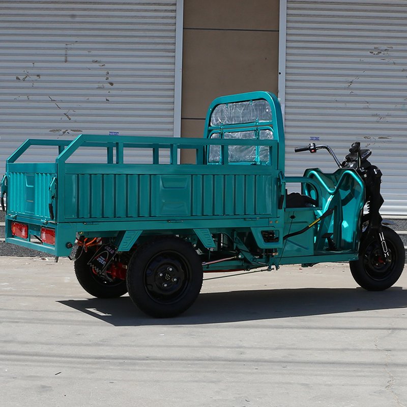 2024 New 1000W Family Use E-Trikes Electric Tricycle 3 Wheel Electric Bike With Rear Basket