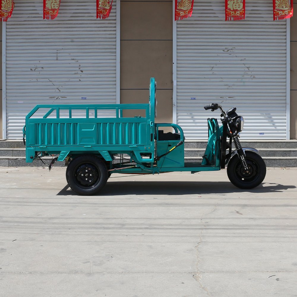 2024 New 1000W Family Use E-Trikes Electric Tricycle 3 Wheel Electric Bike With Rear Basket