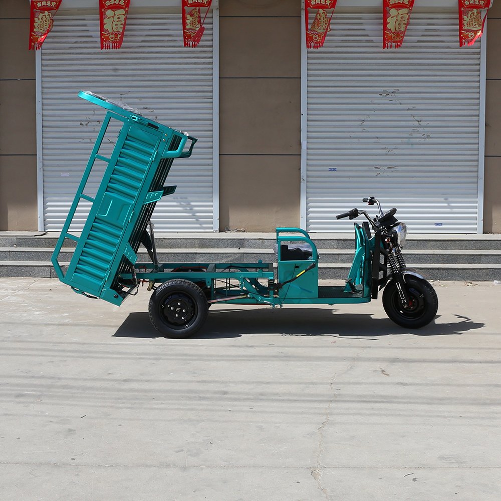 2024 New 1000W Family Use E-Trikes Electric Tricycle 3 Wheel Electric Bike With Rear Basket