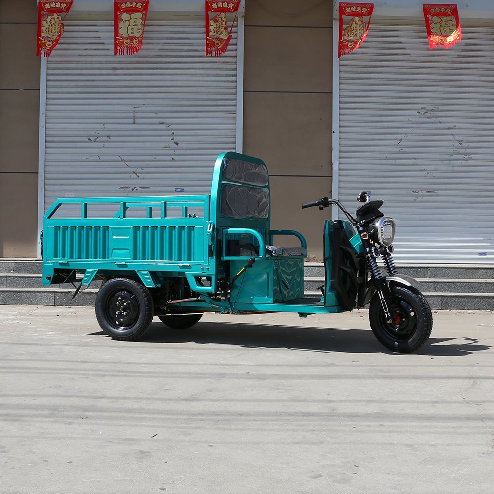 2024 New 1000W Family Use E-Trikes Electric Tricycle 3 Wheel Electric Bike With Rear Basket