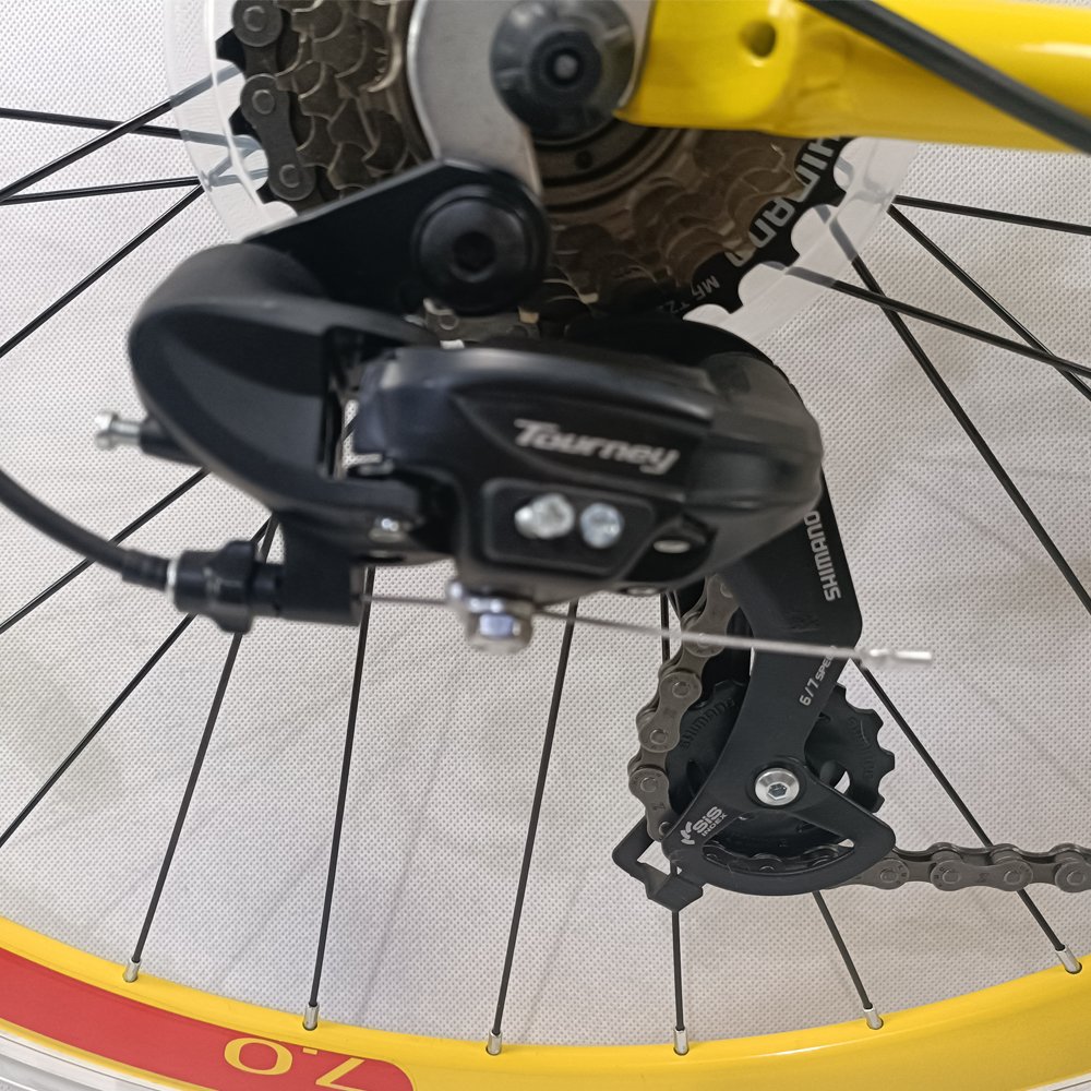 FLYING PIGEON HIGH QUALITY ROAD BIKE WITH 7 SPEED (FP-700CSP22009 )
