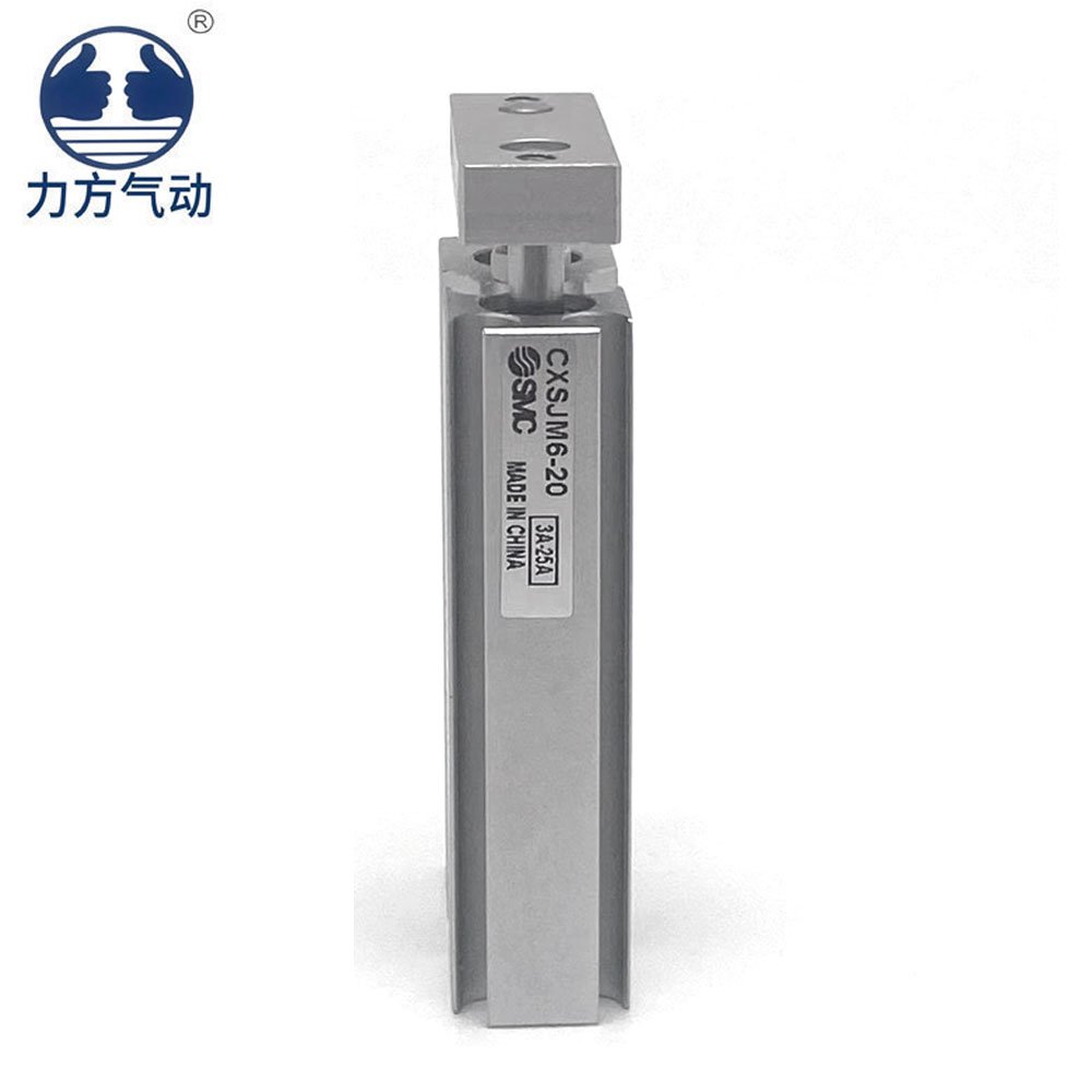 SMC Cylinder CSXJM6-10/CXSJM6-20/30/40/50 Series Sliding Bearing Compact Double Rod Cylinder