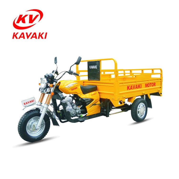 2018 New Type Motorized Auto Rickshaw Three Wheel Motorcycle for Sale
