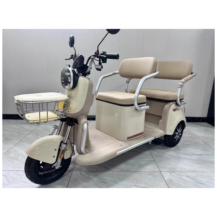 Wholesale Price Elderly 3 Wheel Electric Scooter for Daily Use Carry Goods 60v 800W Passenger Cargo 2 Row Electric Tricycle 600W