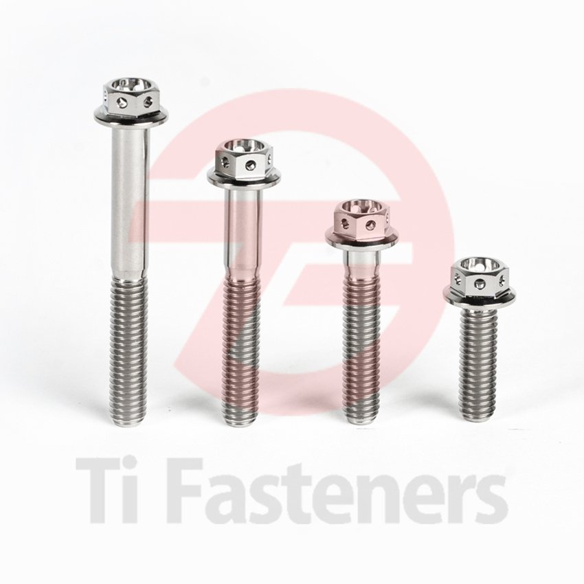 Titanium Front Brake Caliper Bolt Drilled Hex Front Brake Caliper Bolt M8 M10 Silver Polished Din6921,grade 5 Ti-fasteners